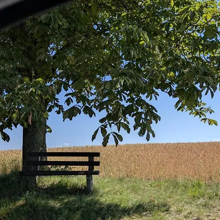 Michelsreuther Auszeit - Zum Siebenschlaefer Сasa de vacaciones *